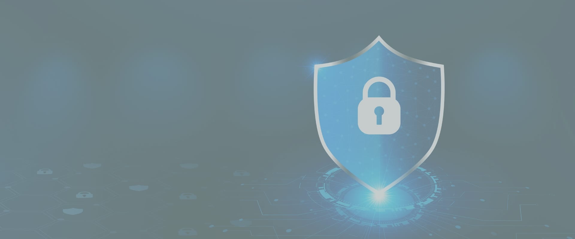 Privacy & Cybersecurity