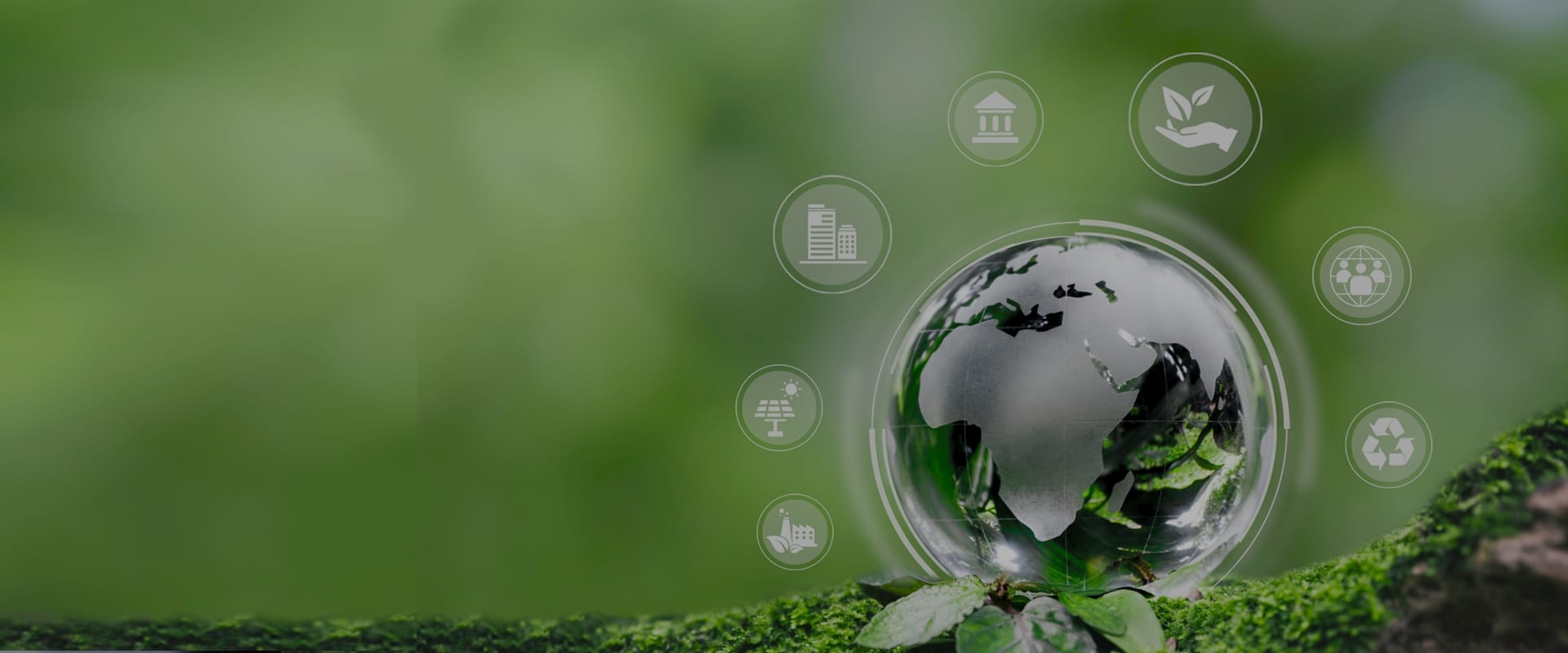 Corporate Sustainability